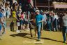Palio 2 luglio 2019: la gallery della prima e della seconda prova